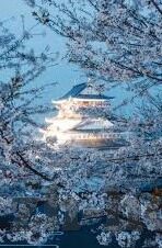 外围足球比分网-警惕外围足球比分网，远离非法赌博，守护个人财产与家庭幸福